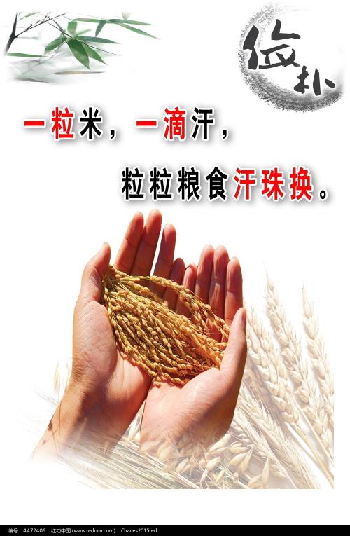 宾夕法尼亚州ID哪里能买到